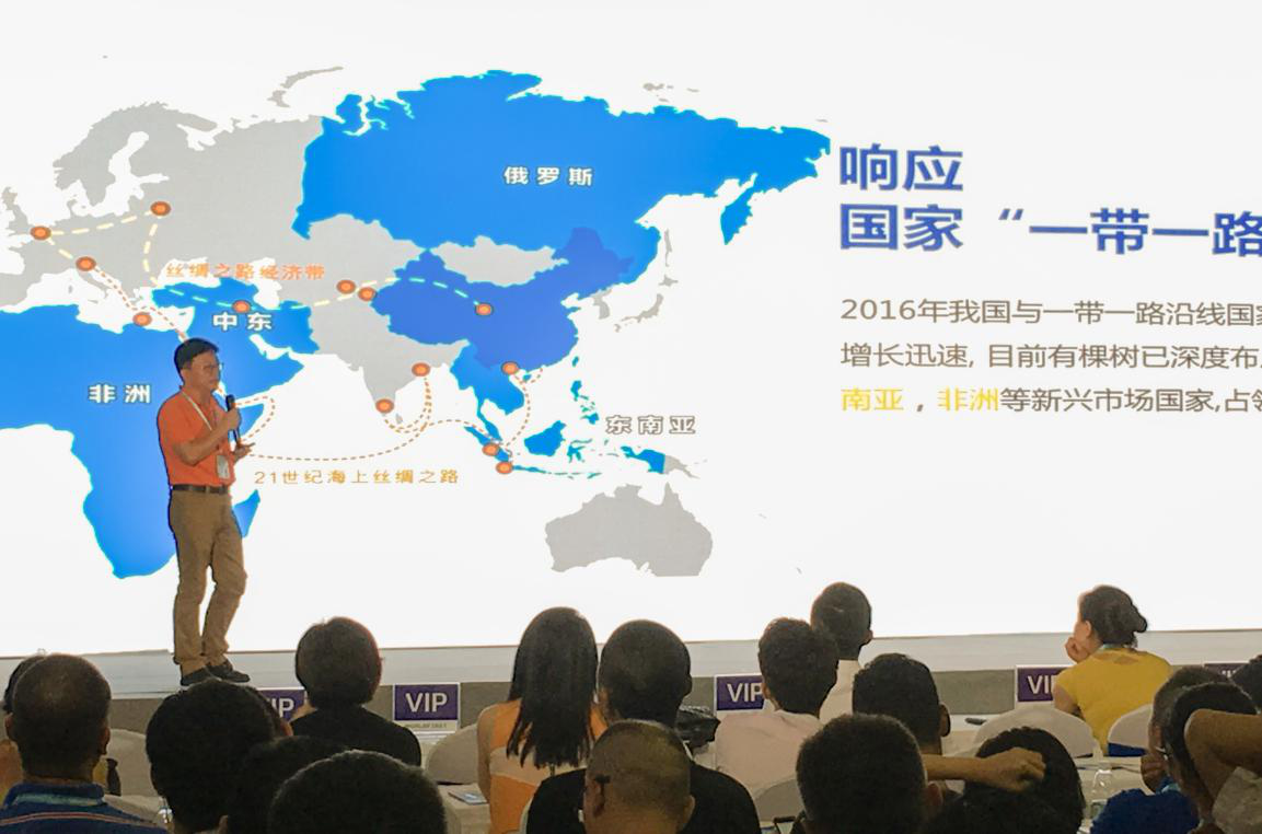 图片19.png