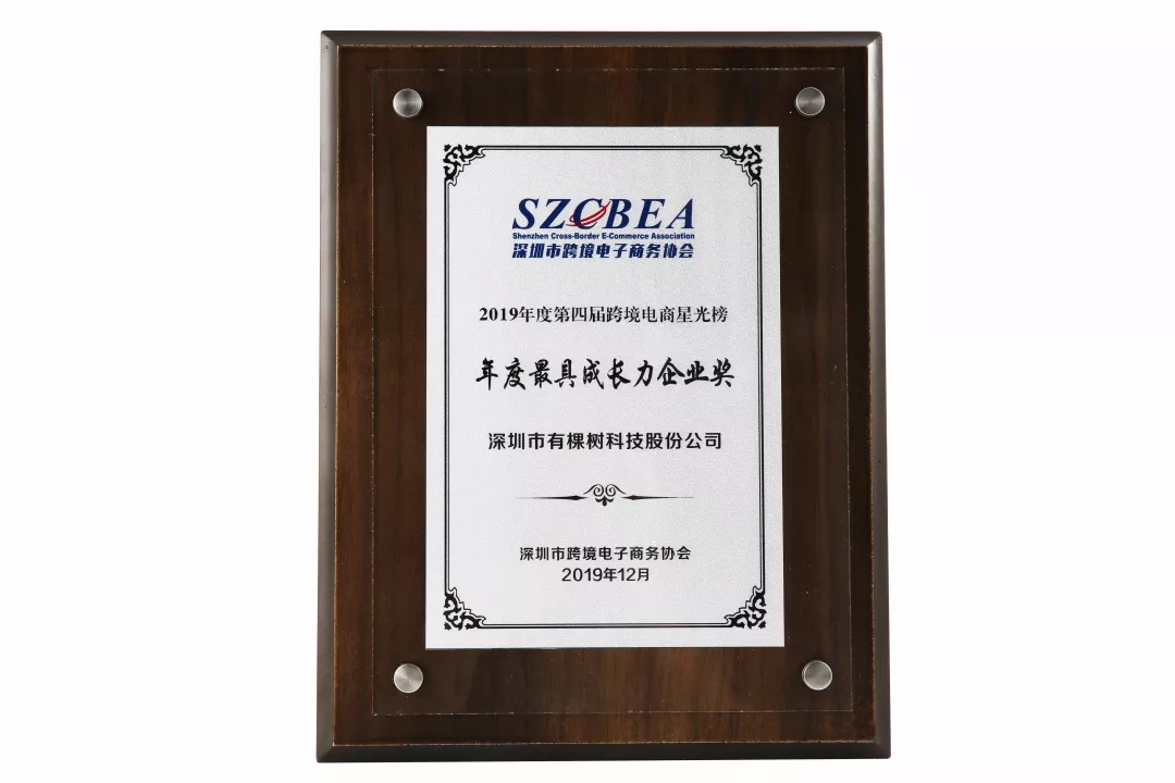 跨境电商行业年度最具成长力企业奖2.jpg
