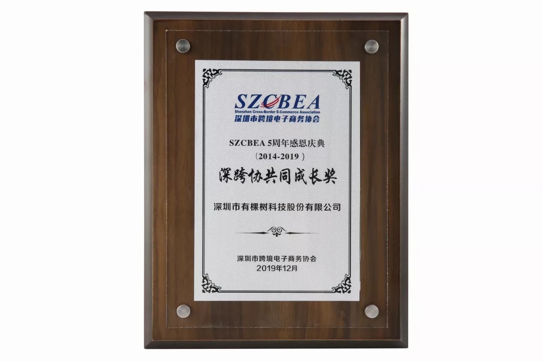 跨境电商行业年度最具成长力企业奖3.jpg